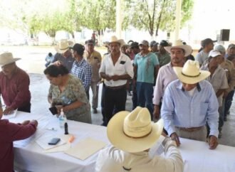 Abre Gobierno del Estado ventanillas para el registro de semilla de calidad