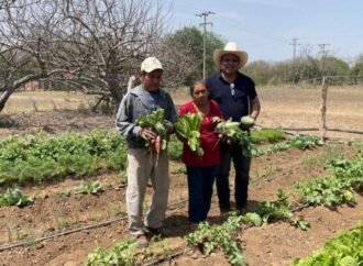 Fomenta Programa de huertos de traspatio alimentación saludable y sostenible en comunidades rurales