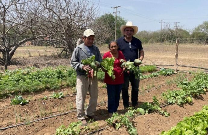 Fomenta Programa de huertos de traspatio alimentación saludable y sostenible en comunidades rurales
