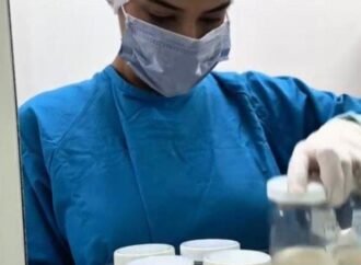 Conmemora SST Día Mundial de la Donación de Leche Humana