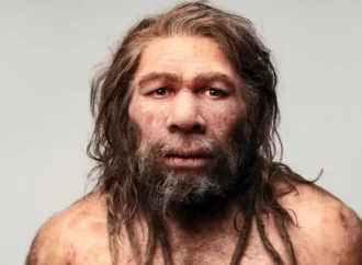 Hallan huella dactilar de un neandertal de hace 43 mil años; es la más antigua del mundo