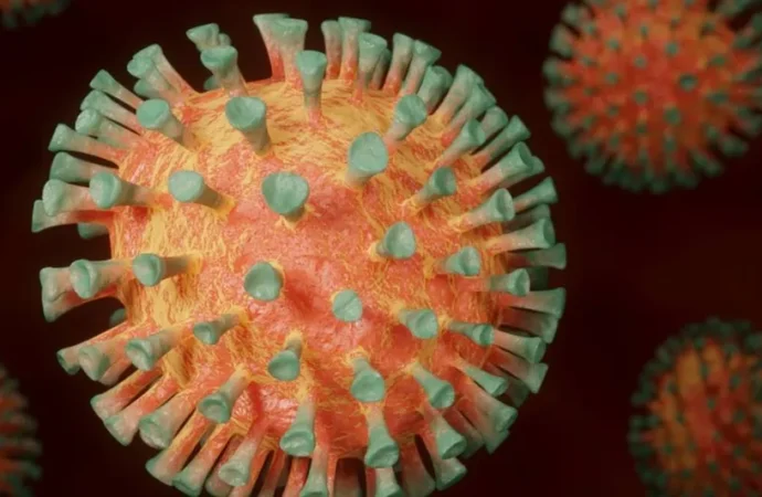 ¿Cuál es la nueva cepa de COVID-19 que aqueja a EU y cuáles son los síntomas? SSA descarta casos en México