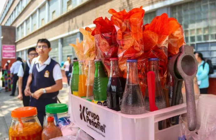 Ansiedad e hipertensión: los efectos de la comida chatarra en niños van más allá de la obesidad