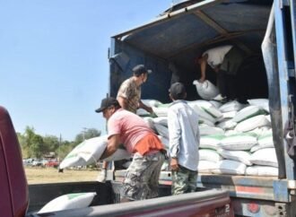 Abren ventanillas para el programa de fertilizante a citricultores