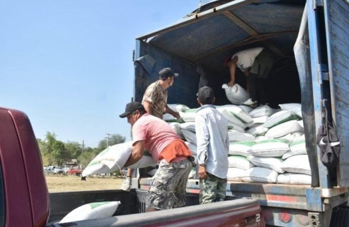 Abren ventanillas para el programa de fertilizante a citricultores