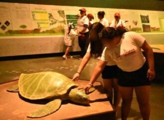 Niñas y niños de Casa Hogar viajaron de Tampico a Victoria