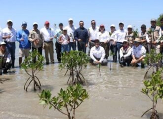 Transforman litoral tamaulipeco  con acciones que protegen y educan