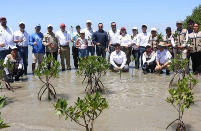 Transforman litoral tamaulipeco  con acciones que protegen y educan