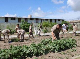 Imparten en CEDES Matamoros cursos de huertos urbanos e inglés