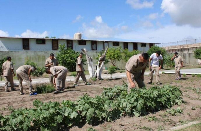 Imparten en CEDES Matamoros cursos de huertos urbanos e inglés