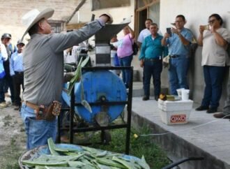 Promueven el uso del nopal como estrategia alimentaria sustentable
