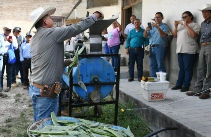 Promueven el uso del nopal como estrategia alimentaria sustentable