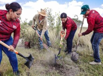 Realiza INJUVE Tamaulipas Segunda Jornada de Reforestación Comunitaria en Valle Hermoso