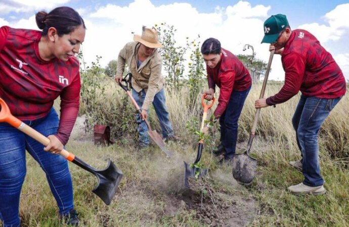 Realiza INJUVE Tamaulipas Segunda Jornada de Reforestación Comunitaria en Valle Hermoso
